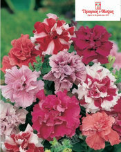 【tm种】最新最全tm种 产品参考信息