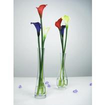 欣唯嘉植物花卉 品牌信息与价格指南